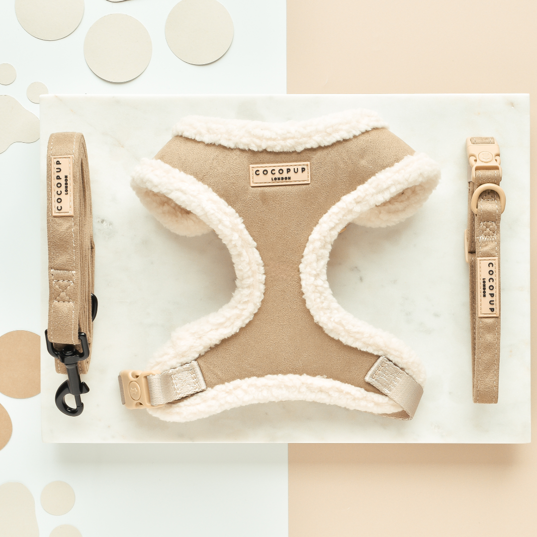 Cocopup London - Wholesale Pet Harness - Dog - Nude Aviator Adjustable Neck Harness2