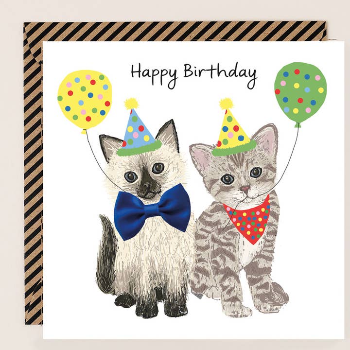 Birthday Card Tabby & Fluffy Cat for wholesale by Apple & Clover