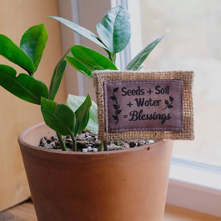 Seeds Soil Water Flower Pick for wholesale by Abbey + CA Gift