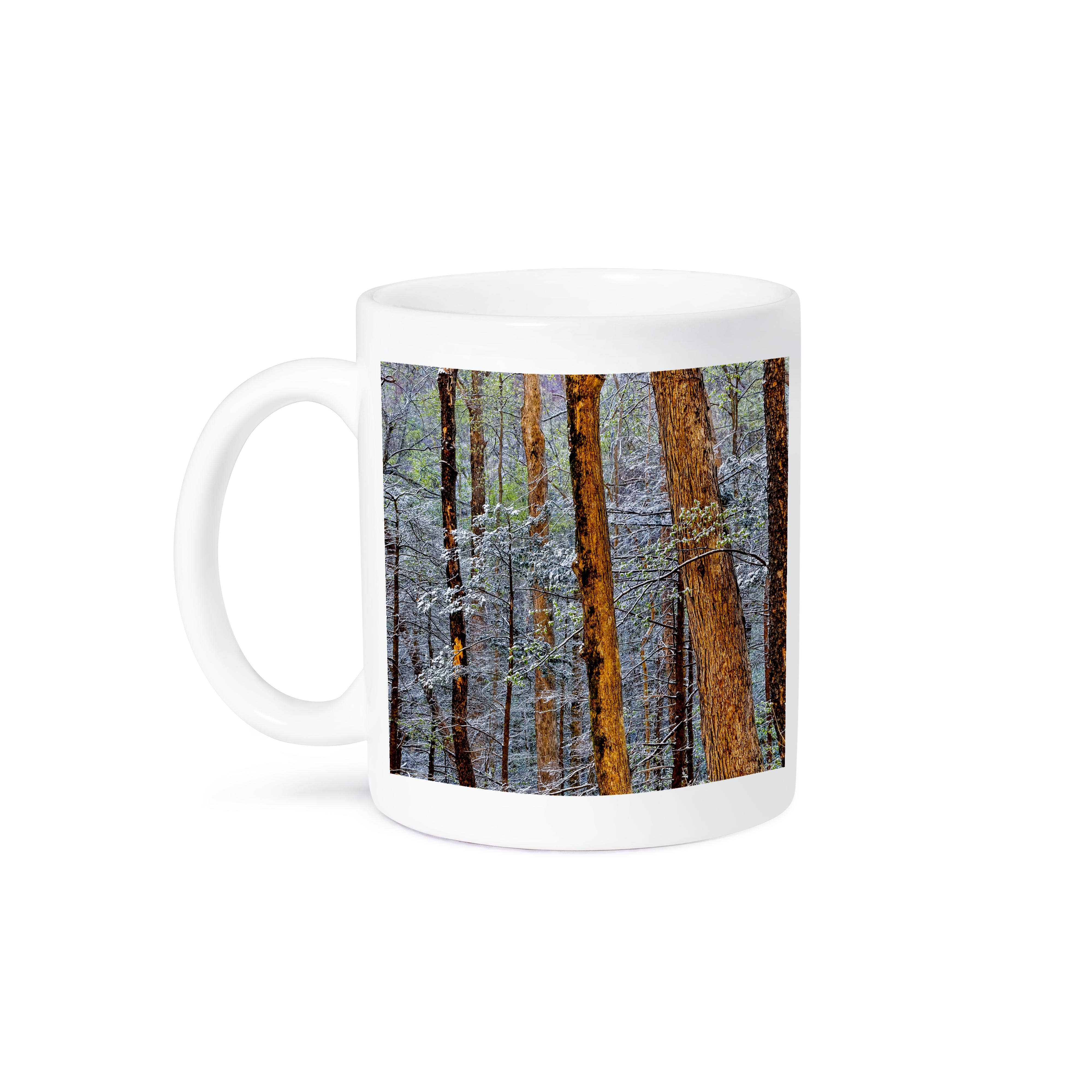 3dRose - Wholesale Coffee Mug - 3dRose, USA, Tennessee. Great Smoky Mountains National Park. Spring snow 5, Mug8