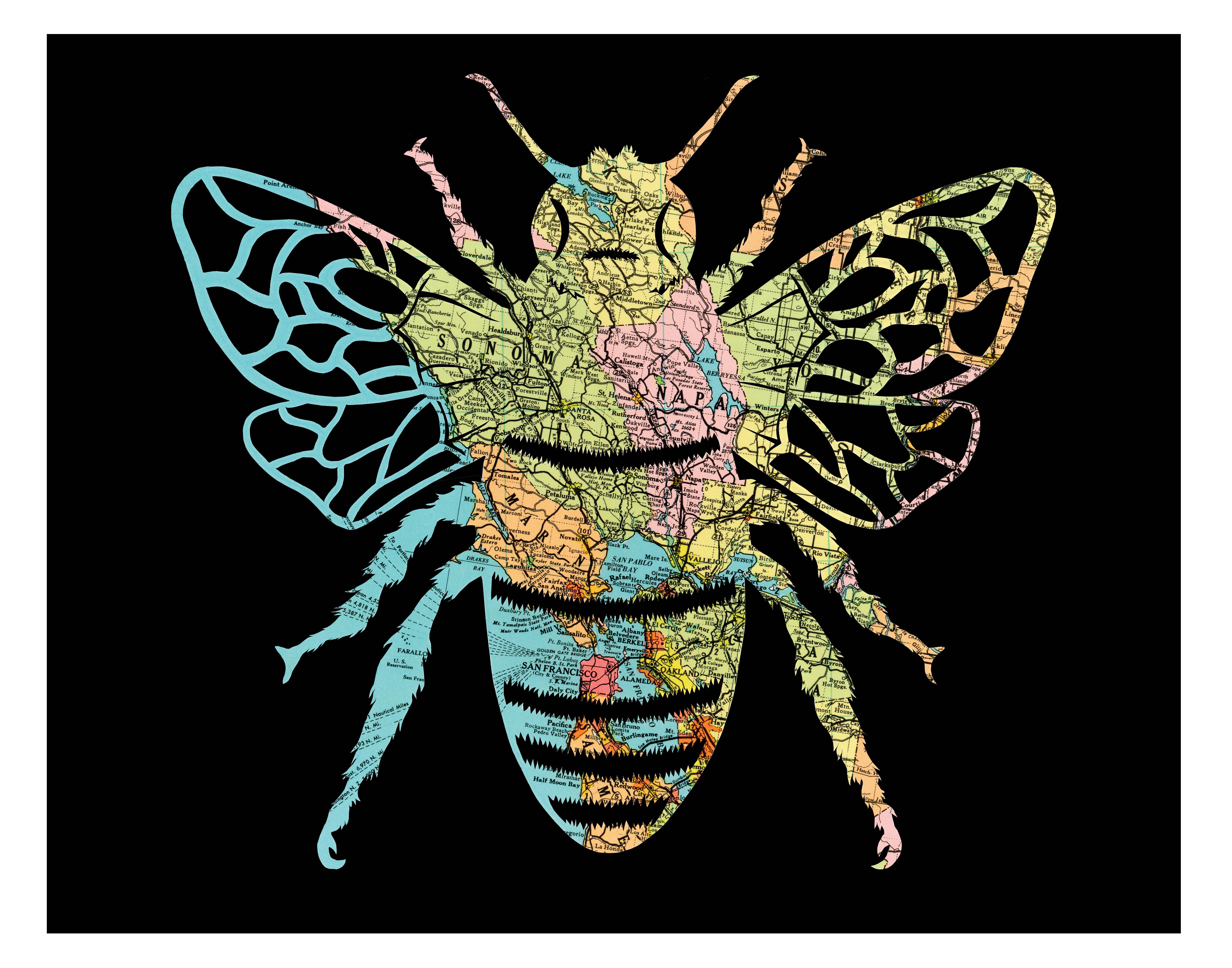 Granny Panty Designs - Wholesale Gewone wenskaart - Oh, Honey - Bay Area Honey Bee Kaart kunstkaart5