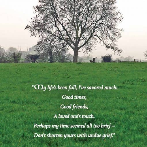 Undue Grief Irish Sympathy Card for wholesale by MUNDO IMAGES