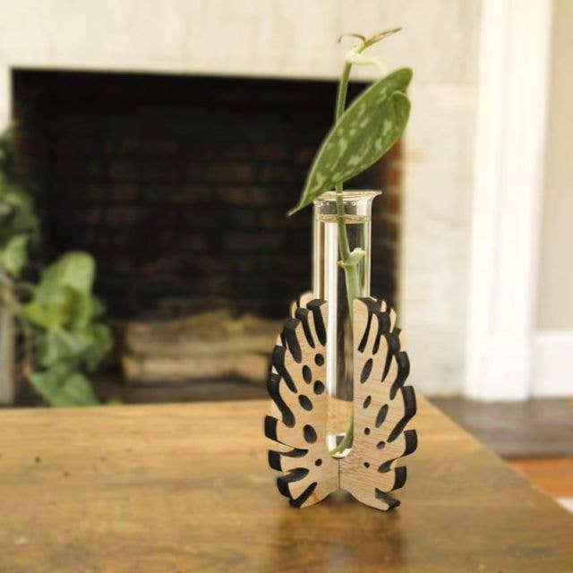 Tabletop Propagation Design Vases - Beta Leaf for wholesale by Floratrel