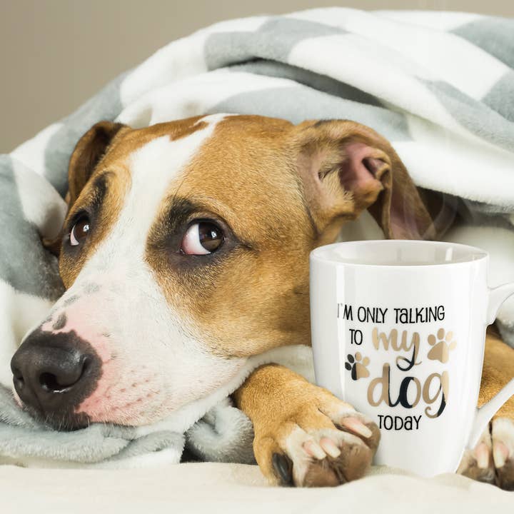 Lillian Rose - Venta al por mayor Taza - Taza de cerámica «Solo estoy hablando con mi perro hoy» de Lillian Rose2