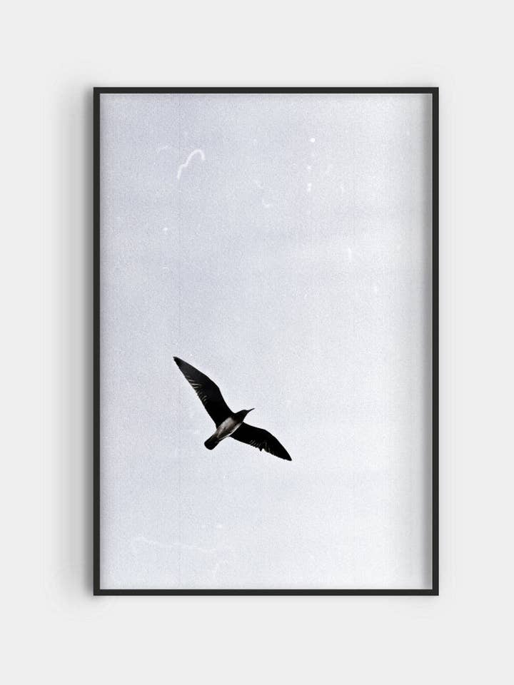 VOGEL OP HELDERE HEMEL voor wholesale door nordhaus