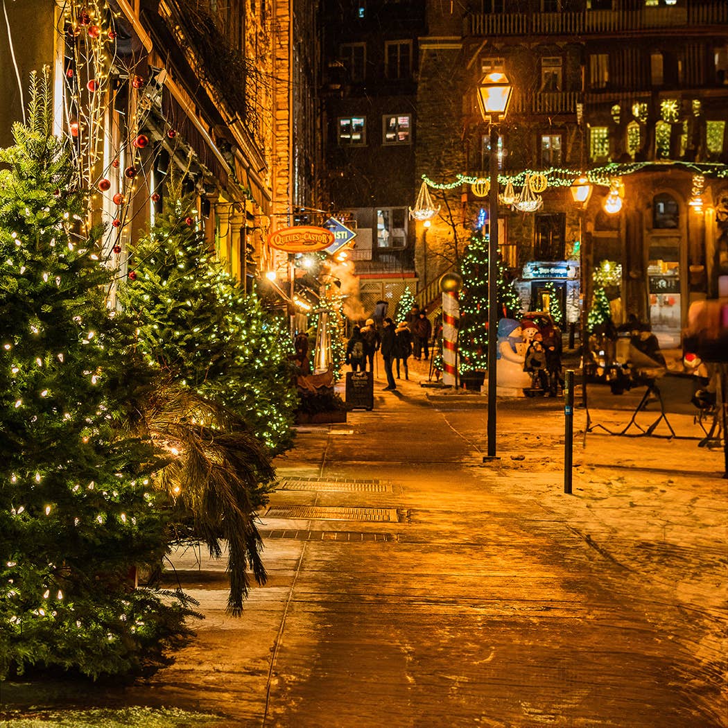 Milkhouse Candle Company - Wholesale Jar/Filled Candle - 16 oz Butter Jar Candle: Victorian Christmas4