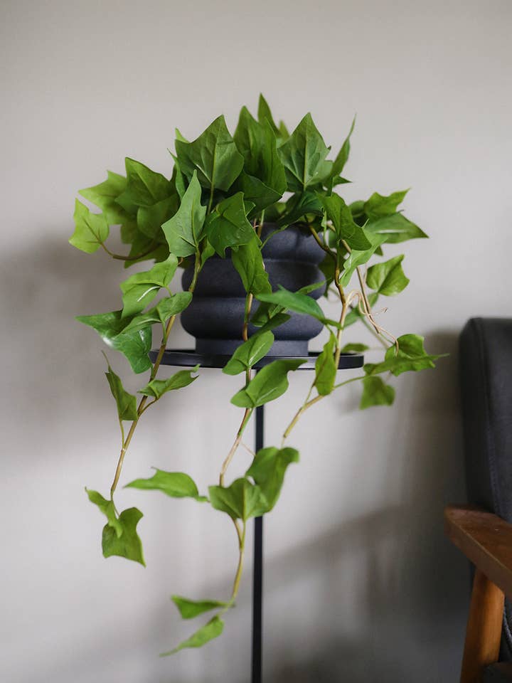 Lierre Artificiel Suspendu 25" pour la vente par Prestige Botanicals