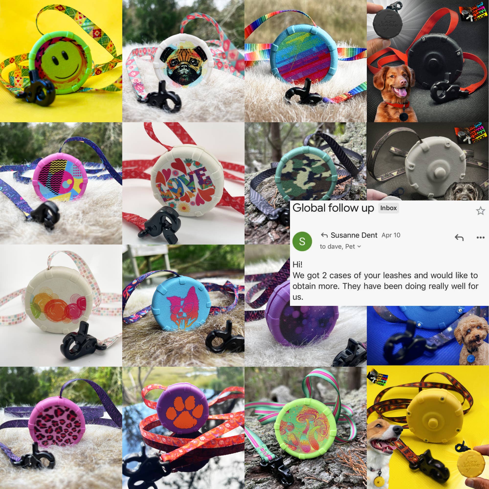 Lazy Leash! – Engroshandel Hundesnor - Hund – DOVEN SNOR! ⚡️ Mini Power Leash! 18pc Counter Skærmkasse1