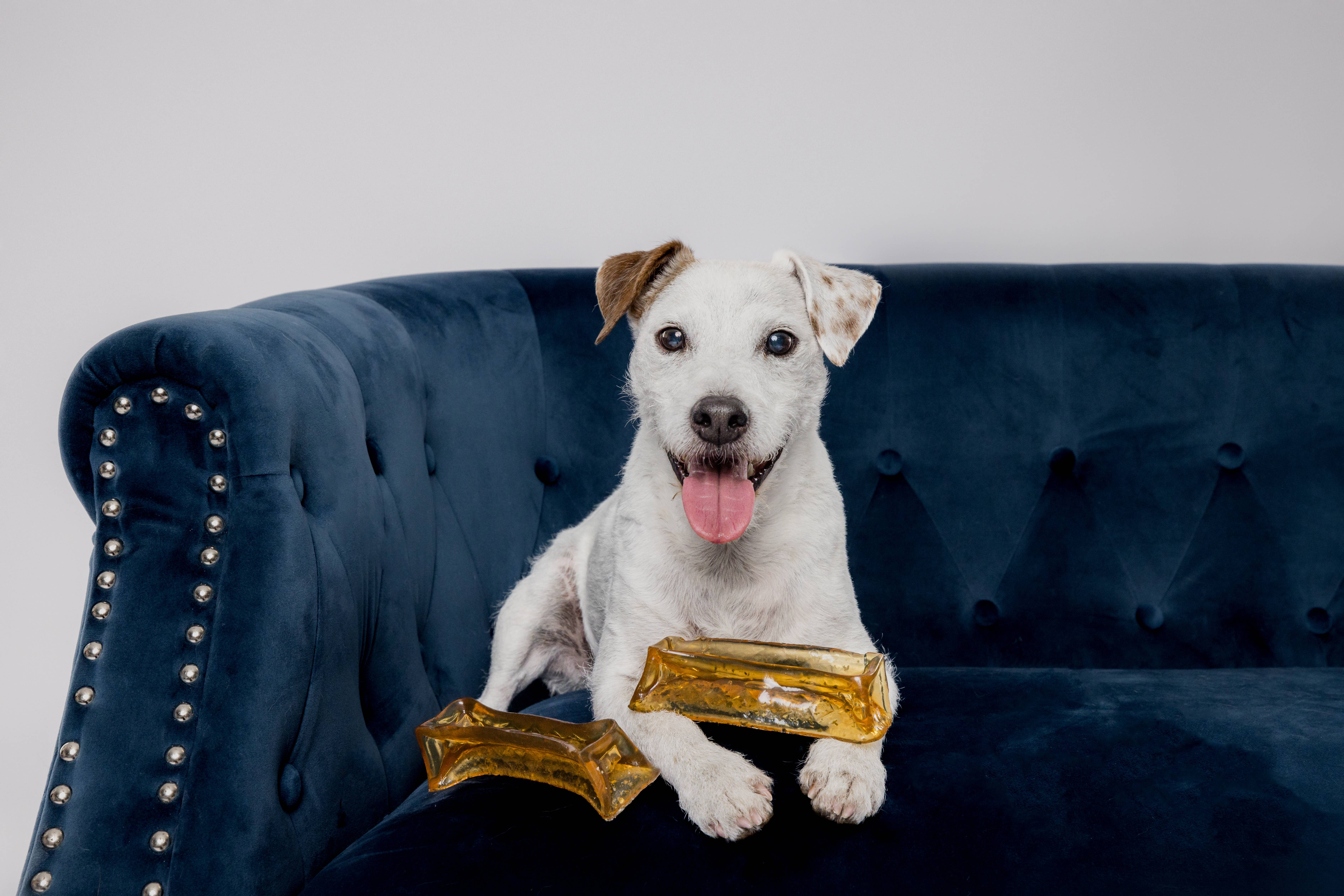 Wag & Bright Supply Co. - Vente Os à mâcher – chien - Mighty Marrows Collagen Dental Chew - Bœuf Spiruline - SM/LG16