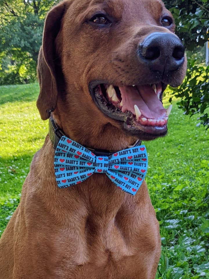 Daddy's Boy Bow Tie for wholesale by Koa's Ruff Life