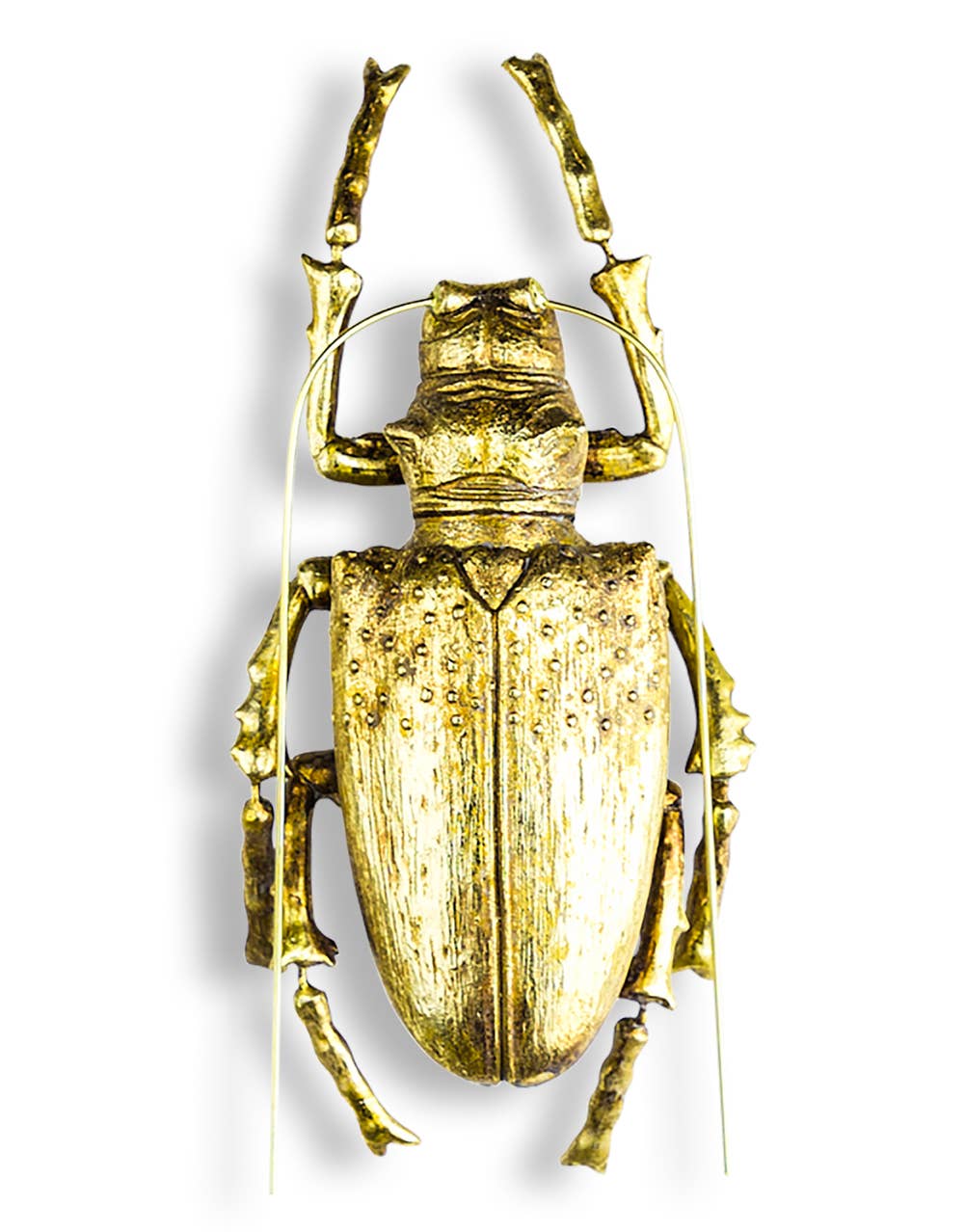 McGowan & Rutherford Ltd - Wholesale Wall Accent - Large Gold Beetle Wall Hanging0
