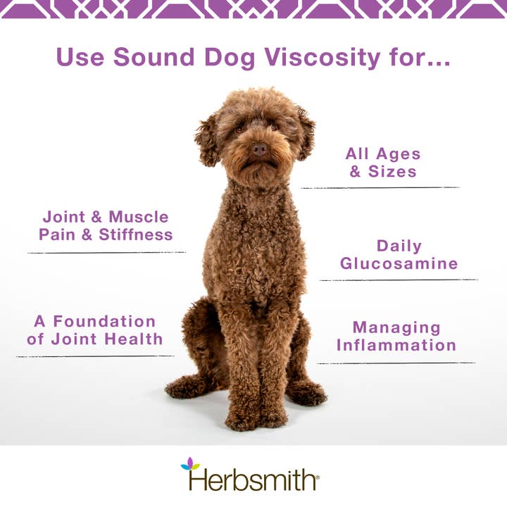 Herbsmith - Wholesale Pet Supplement - Dog - Sound Dog Viscosity - Joint Support for Dogs6