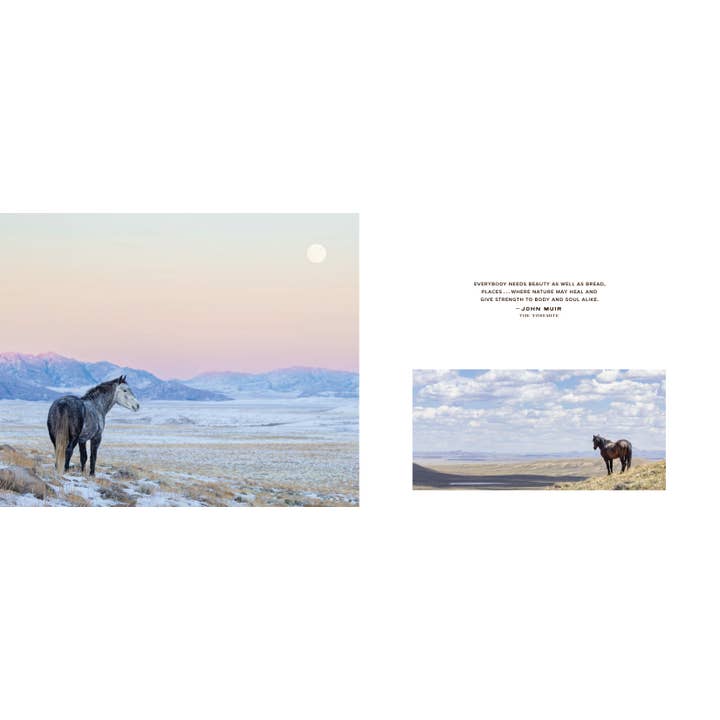 Chronicle Books - Wholesale Nature & Outdoors - Wild Horse Effect12