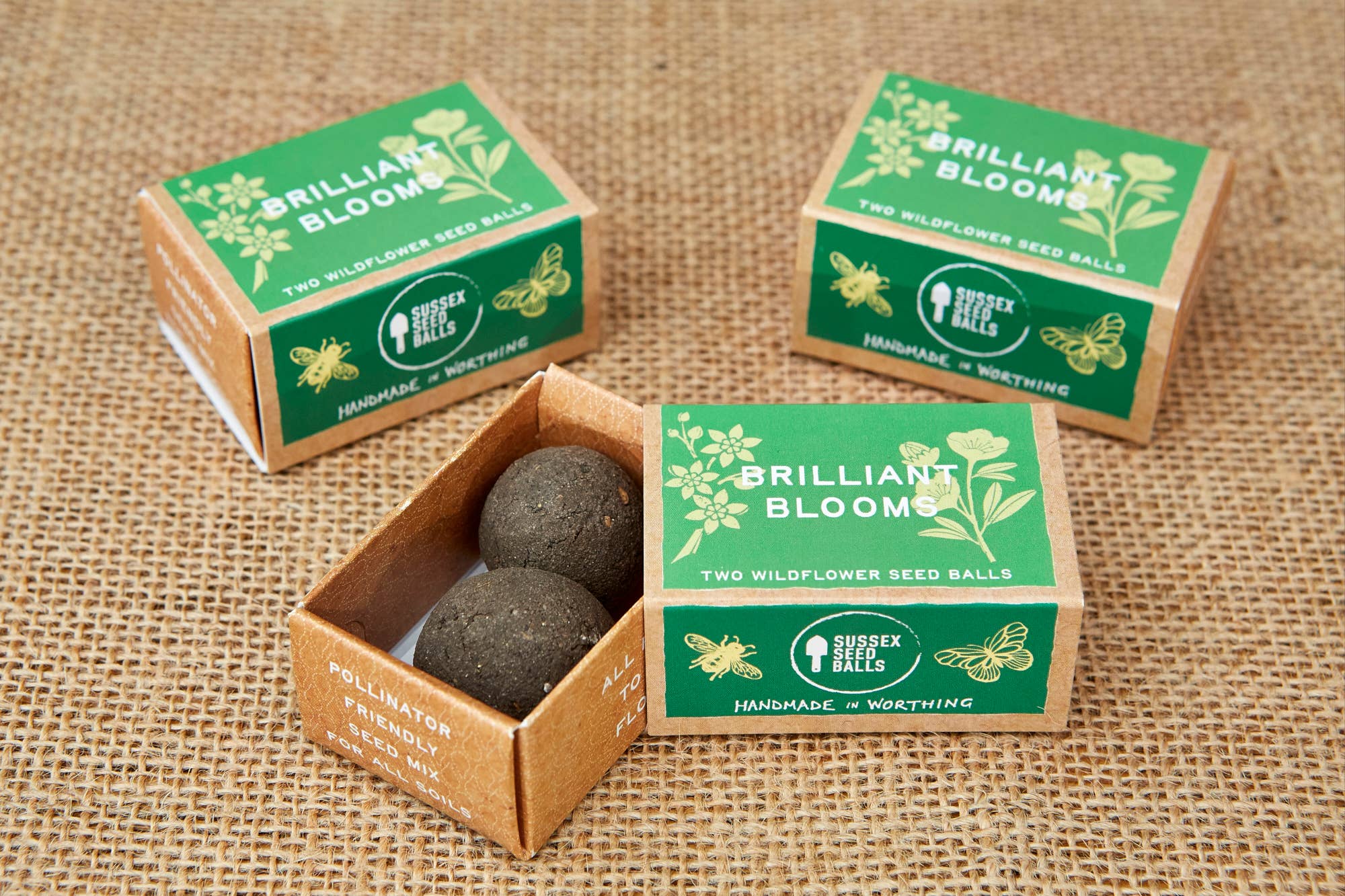 Sussex Seed Balls - Vente Graines de plantes - Coffret cadeau Brilliant Blooms, avec deux boules de graines de fleurs sauvages2