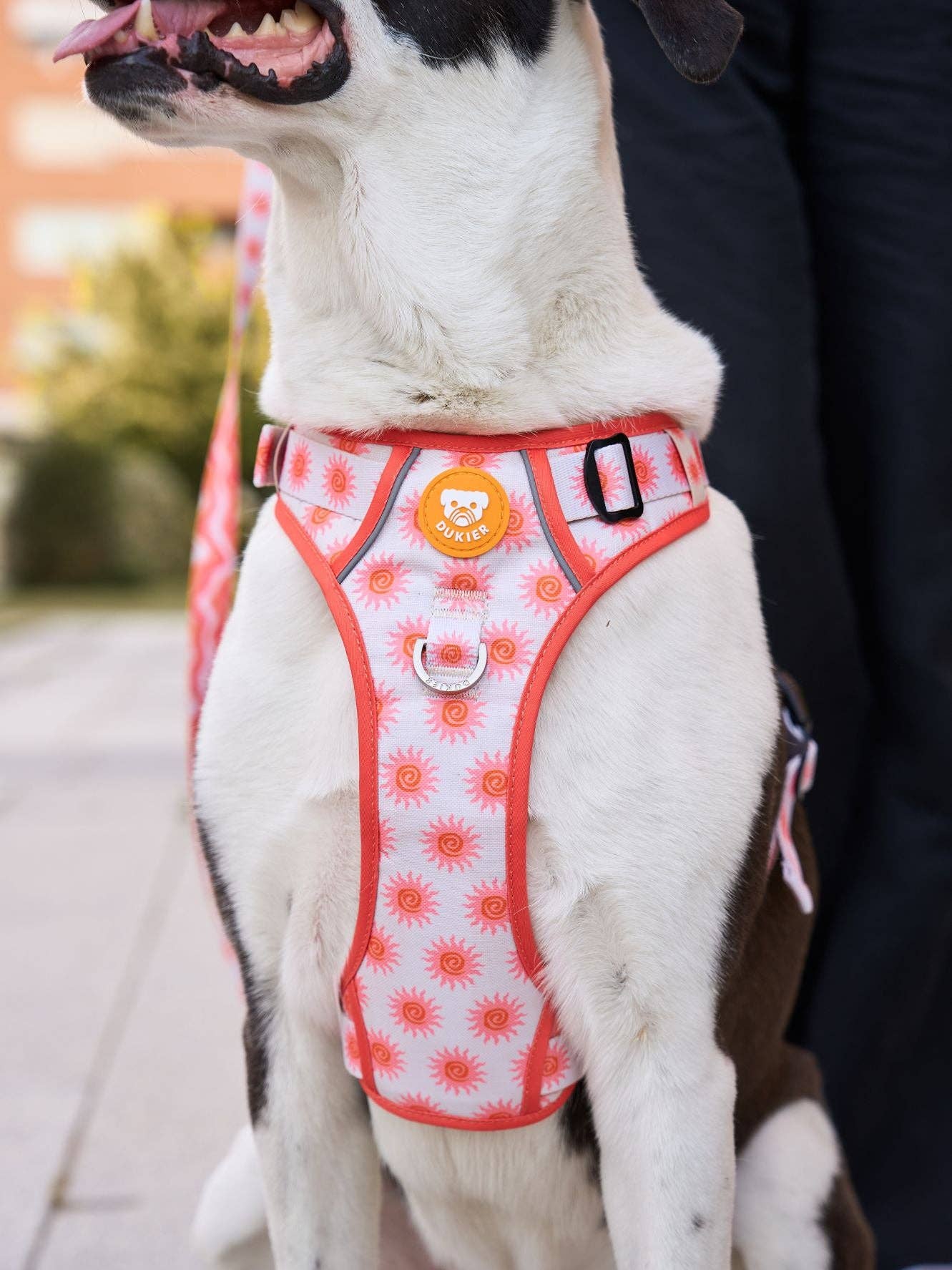 Dukier - Wholesale Pet Harness - Dog - SUN DOG TRAIL HARNESS3