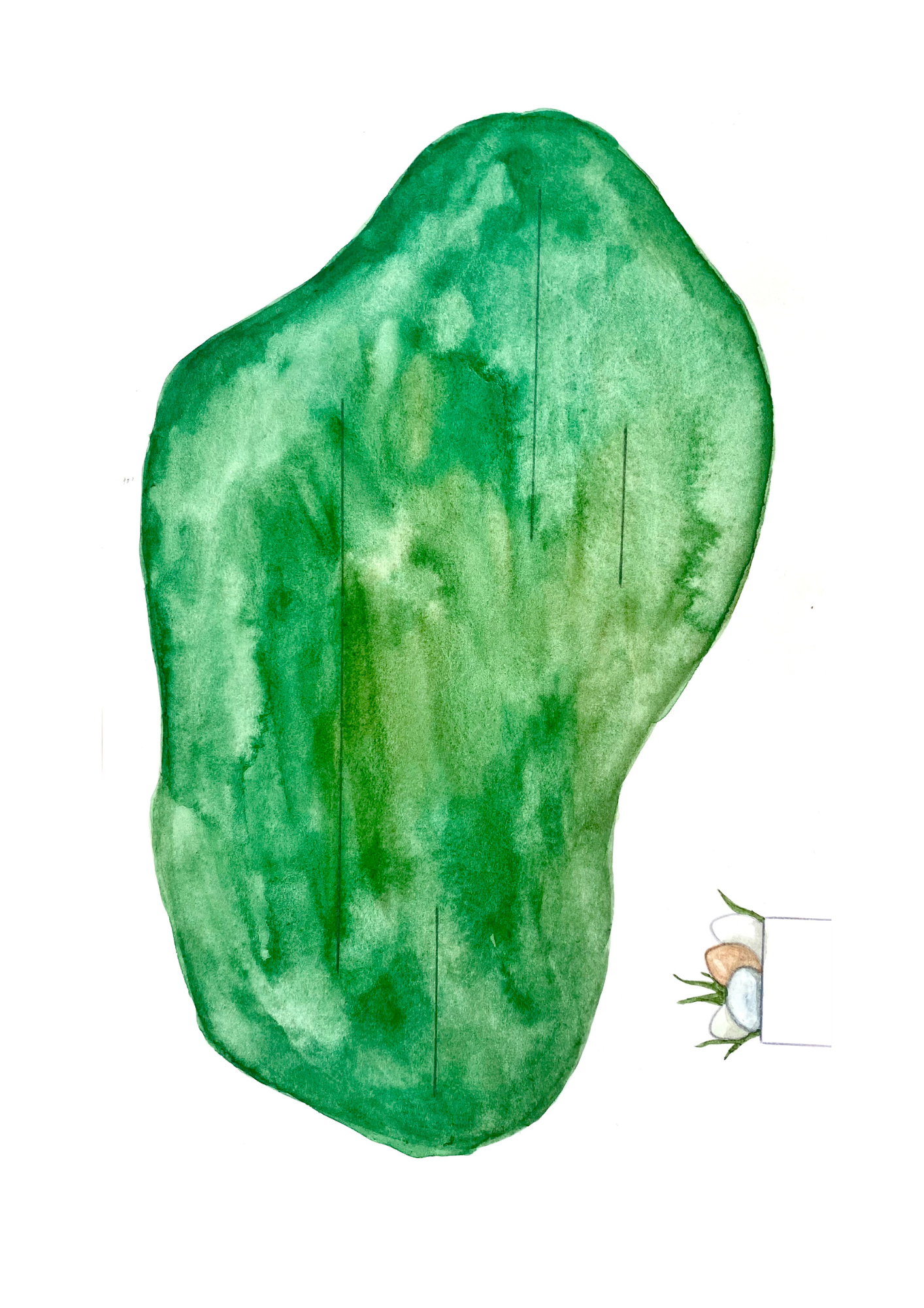 Tall Hat Tales - Wholesale DIY Craft Kit - It's quite true! DIY con audio2