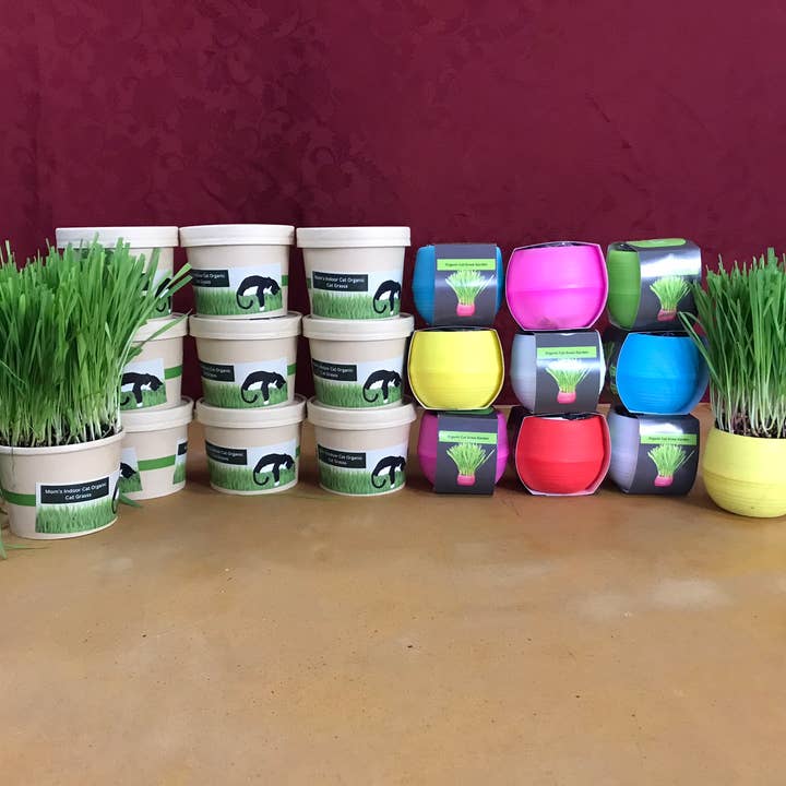 Mini combo Pack for wholesale by Mom’s Indoor Cat