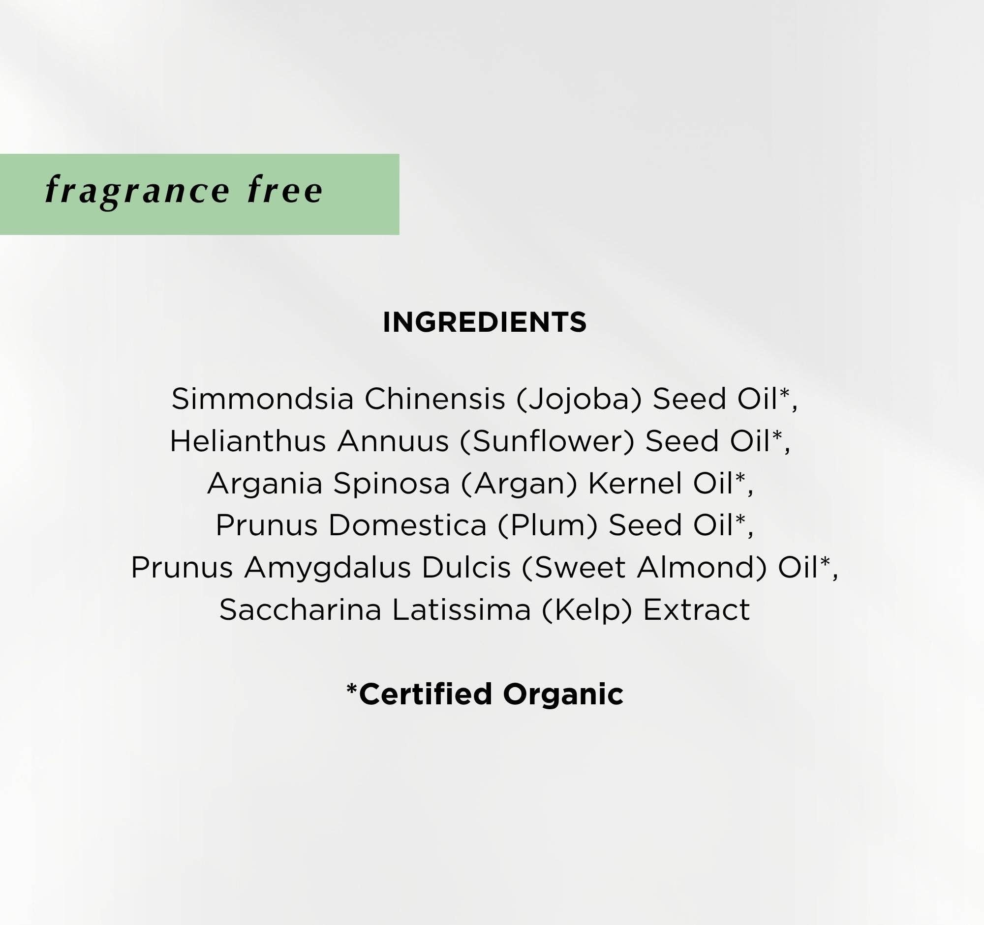 Cold Current Kelp - Wholesale Facial Oil - KelpGlow® Facial Oil Mini (Fragrance Free) - 0.34 fl oz (10ml)5