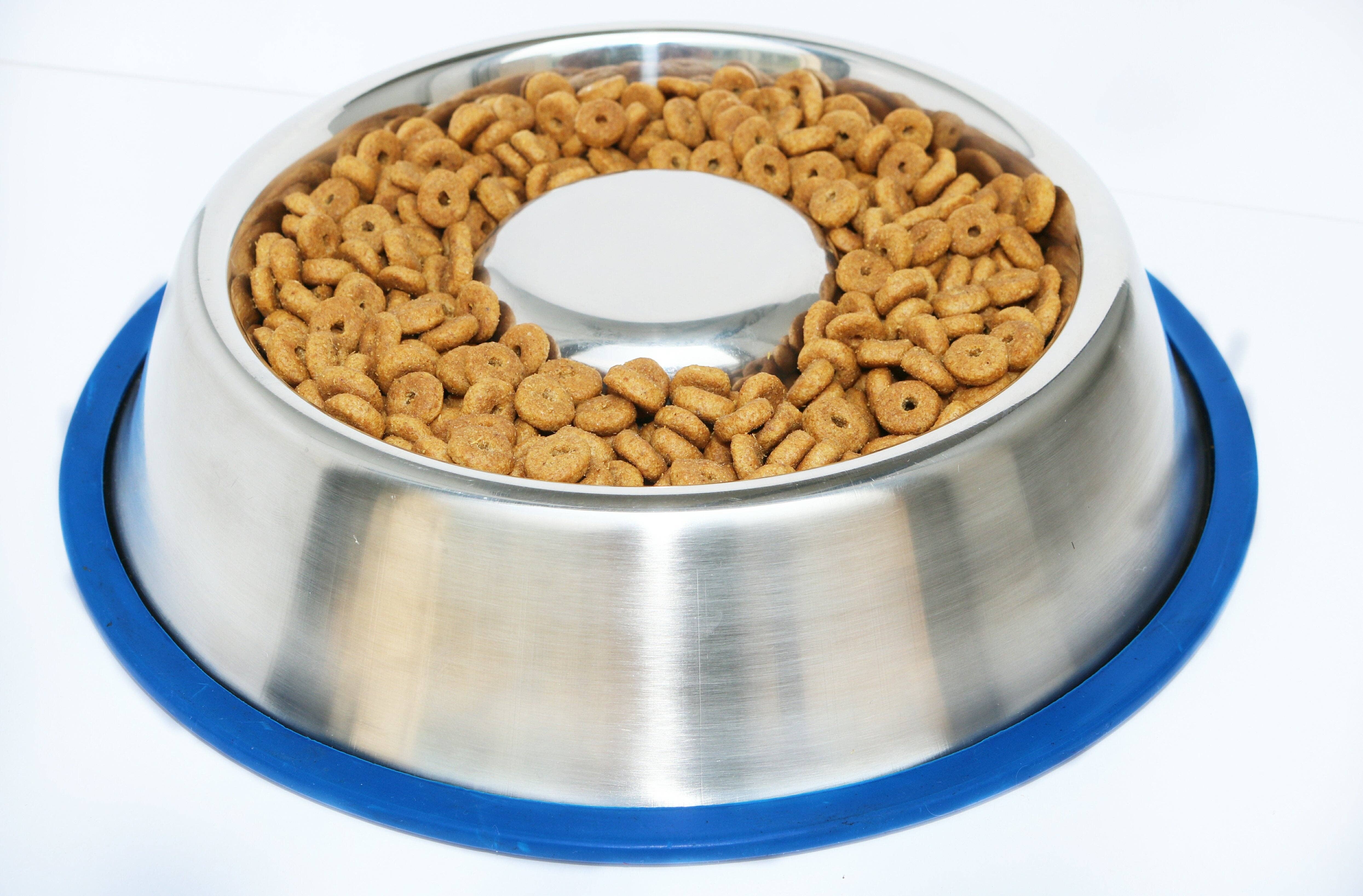 Mr. Peanut's - Wholesale Drinkbak - Kat/Hond - Mr. Peanut's Slow Feed Anti Bloat hondenbak met gebonden siliconen basis2