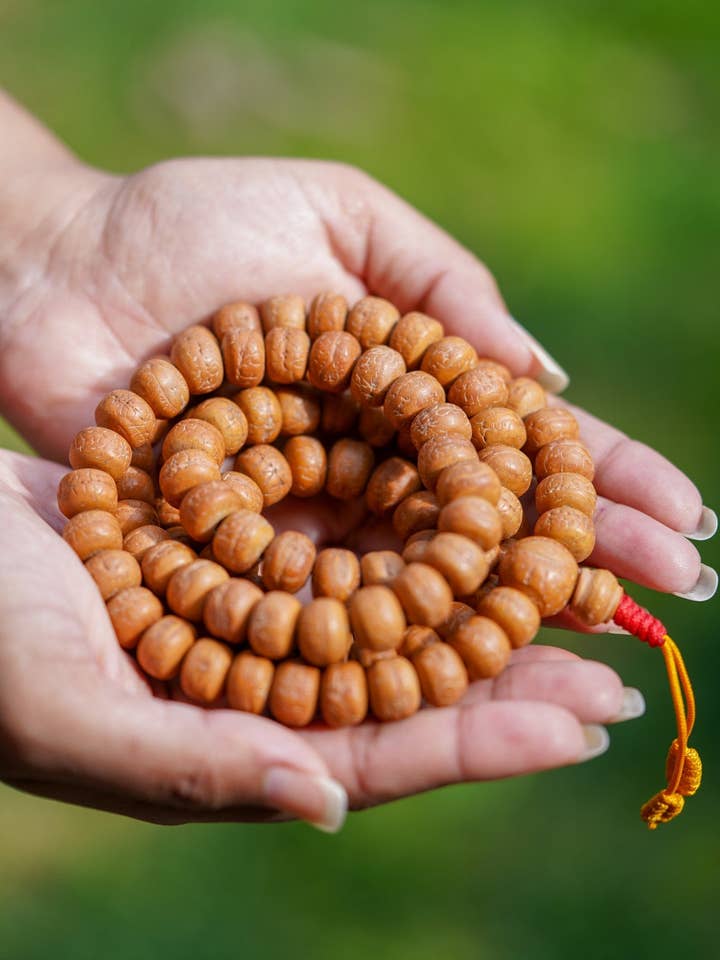 Genuine Bodhi Japa Mala for wholesale by Lucky Thanka