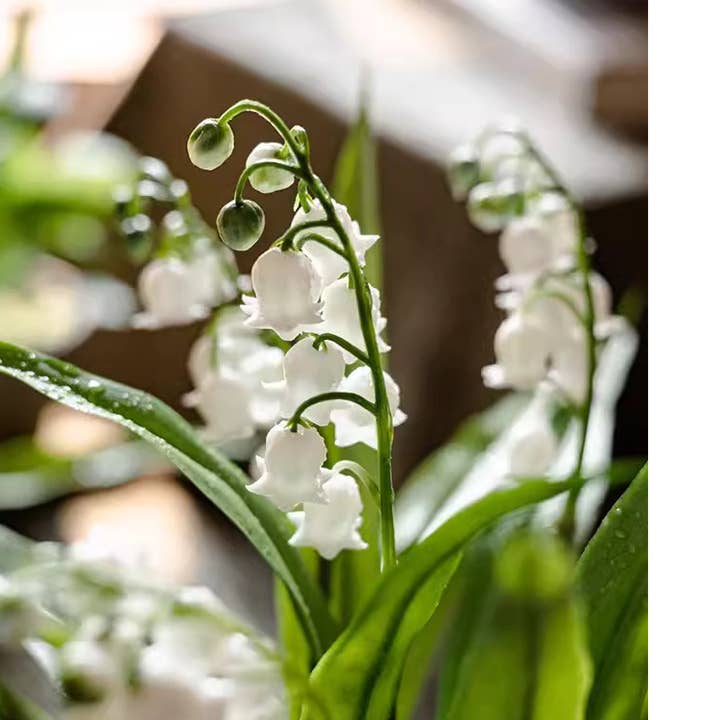 Rustic Reach - Wholesale Artificial Flowers - Faux Lily of the Valley in Brown Pot