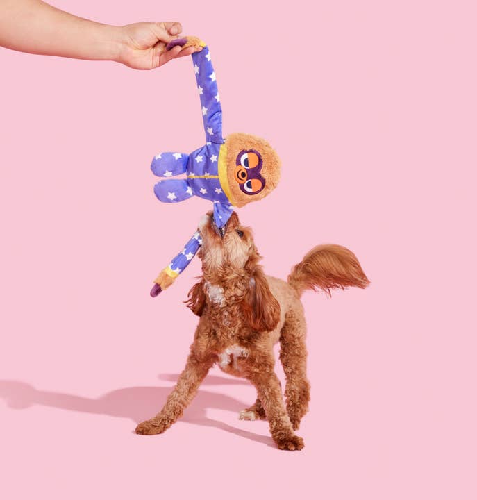 Pet Palette Distribution - Wholesale Pet Plush Toy - Dog - BARK Slow Jams Dan Plush Dog Toy