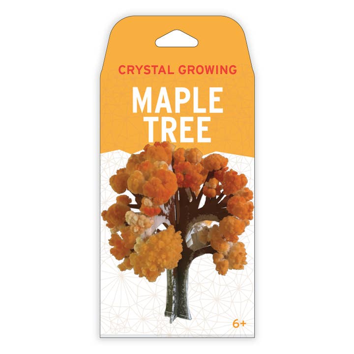 Copernicus Toys – wholesale DIY craft kit – Crystal Growing Maple Tree |
Craft Kit Science Kit4