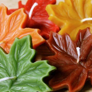 Candela Foglia di Cera d'Api Galleggiante Festiva (Singola) per la vendita all'ingrosso da parte di The Bees' Waxy Knees