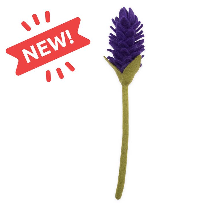 Felt Alpinia for wholesale by Global Goods Partners