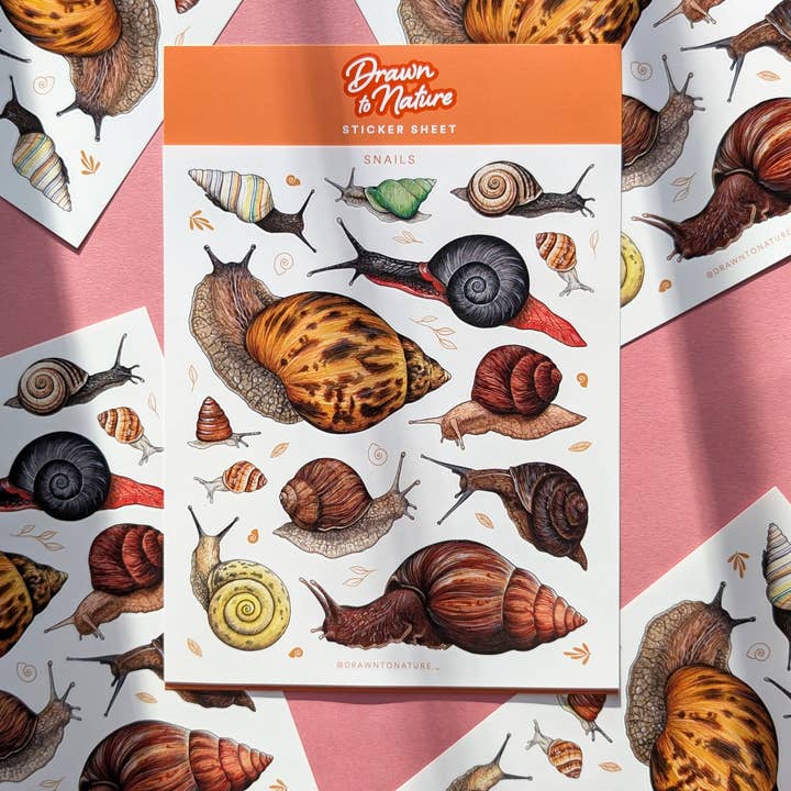 Snails Sticker Sheet - Nature Stickers for wholesale by Drawn to Nature