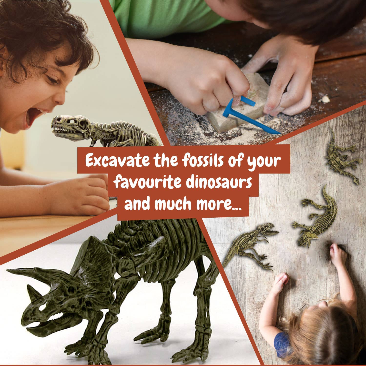 Science4you - Vendita all'ingrosso Set di giocattoli - Bambini - Fossil Excavation 3 in 1 - Gioco educativo per bambini in 9 lingue5