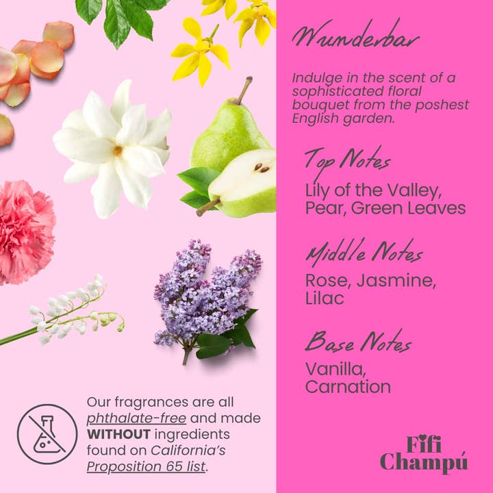 Fifi Champú - Wholesale Hair Conditioner - Wunderbar Conditioner Bar: Nourishing, Plant-Based Hydration3