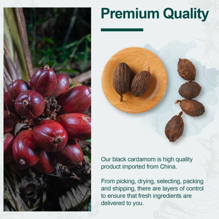 soeos - Vente Herbes aromatiques - Graines de cardamome chinoise Soeos, Amomum Tsaoko, Caoguo, 1lb4