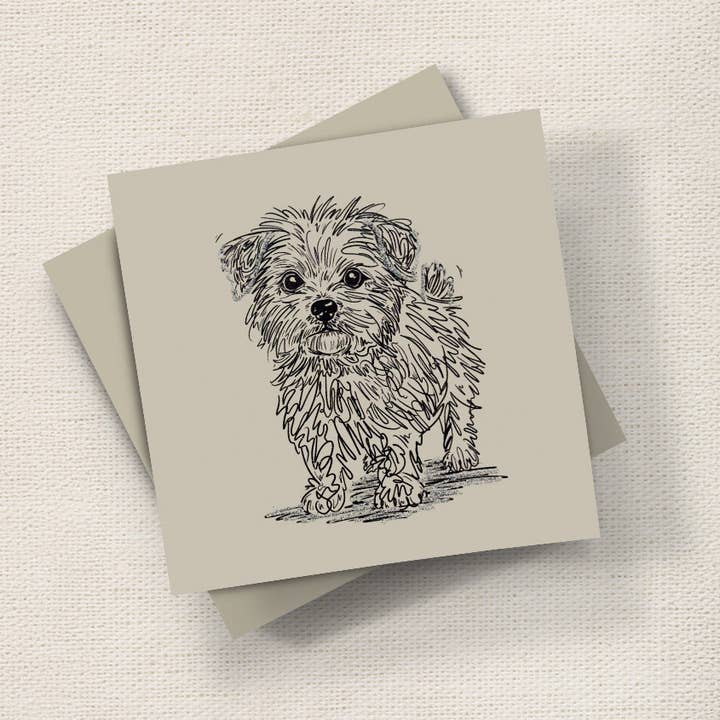 Charley (Krusedulle) for engroshandel hos English Graphics