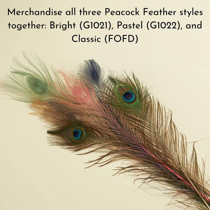 GeoCentral - Wholesale Feathers - Pastel Peacock Feathers