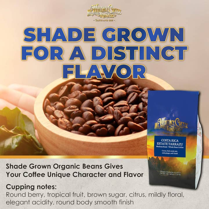 Costa Rica Estate Tarrazu 5lb Whole Bean Coffee for wholesale by Mt. Whitney Coffee Roasters