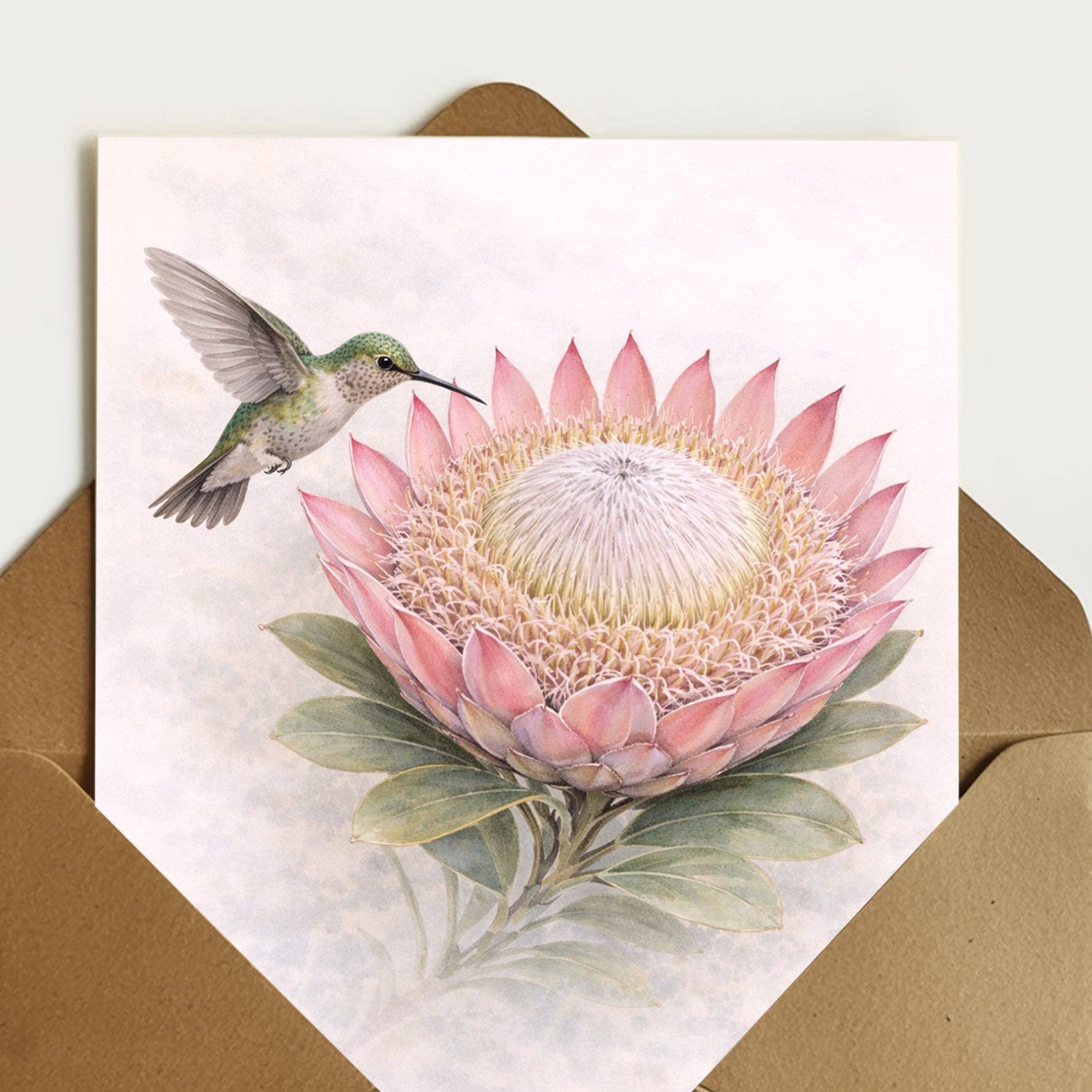 Garden Art - Where every card tells a story - Vendita all'ingrosso Biglietti di auguri generici - Protea reale Annas Hummer4