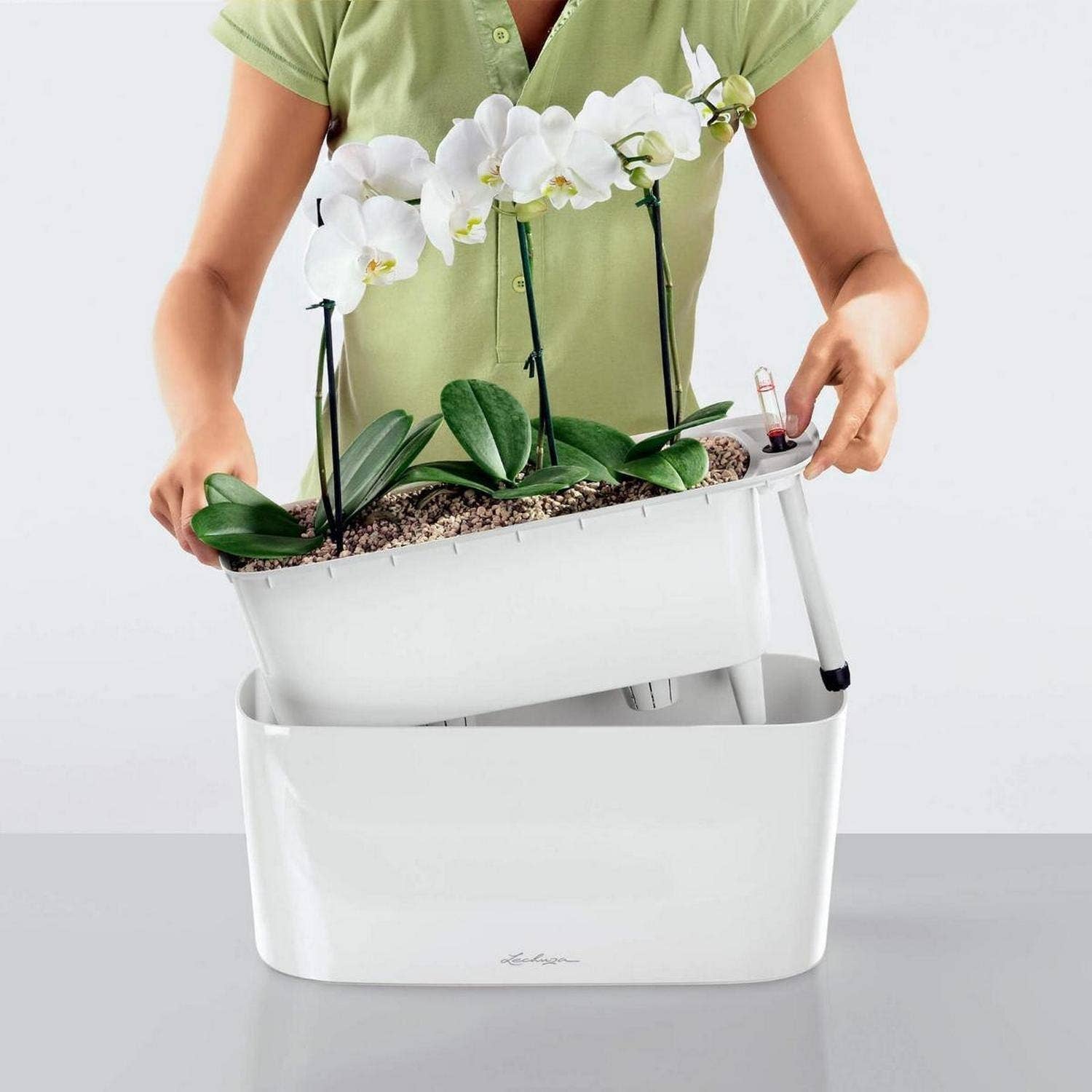Lechuza Self Watering Planters - Vendita all'ingrosso Vasi per piante - LECHUZA DELTA Fioriera da tavolo/davanzale in poliresina18