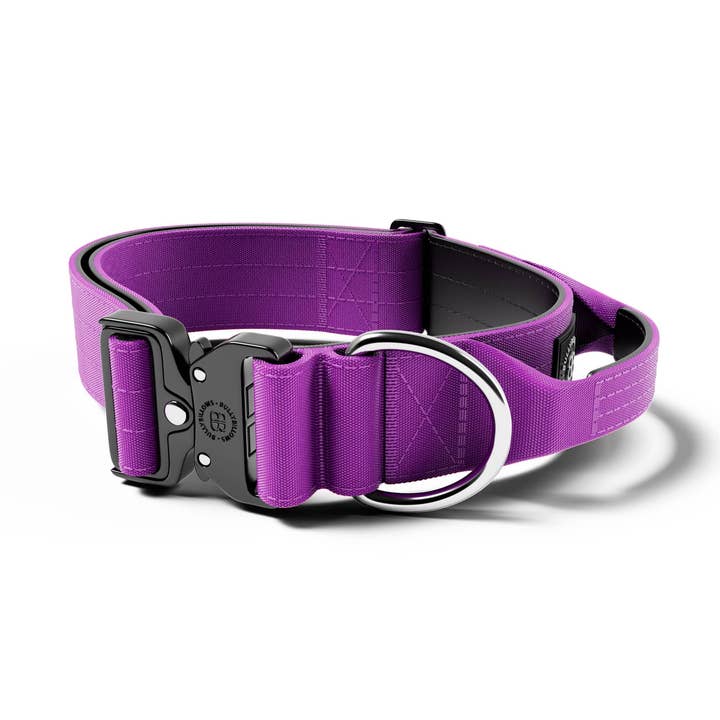 Collar de Combate® de 5 cm | Con Asa y Clip Calificado - Púrpura v2.0 para venta al por mayor de BullyBillows Ltd
