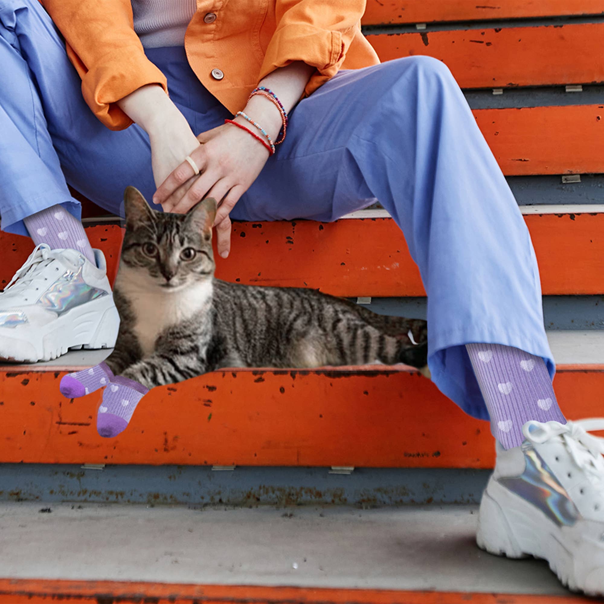 The American Gift Company (TAGCO) - Wholesale Pet Socks - Dog - Matching Pet And Owner Fun Socks2