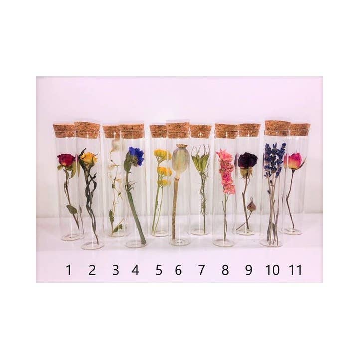 Muno - Wholesale Dried/Pressed Flowers - TUBE 10 CM WITH DRIED FLOWER - Gift5