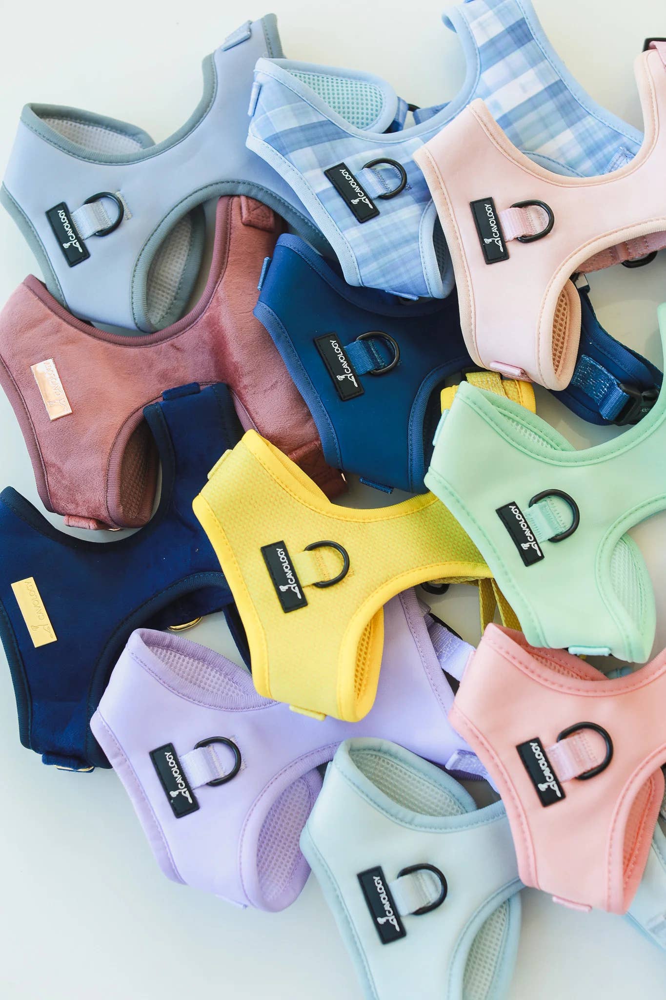 Cavology - Wholesale Pet Harness - Dog - DOG ADJUSTABLE HARNESS ASSORTED PACK