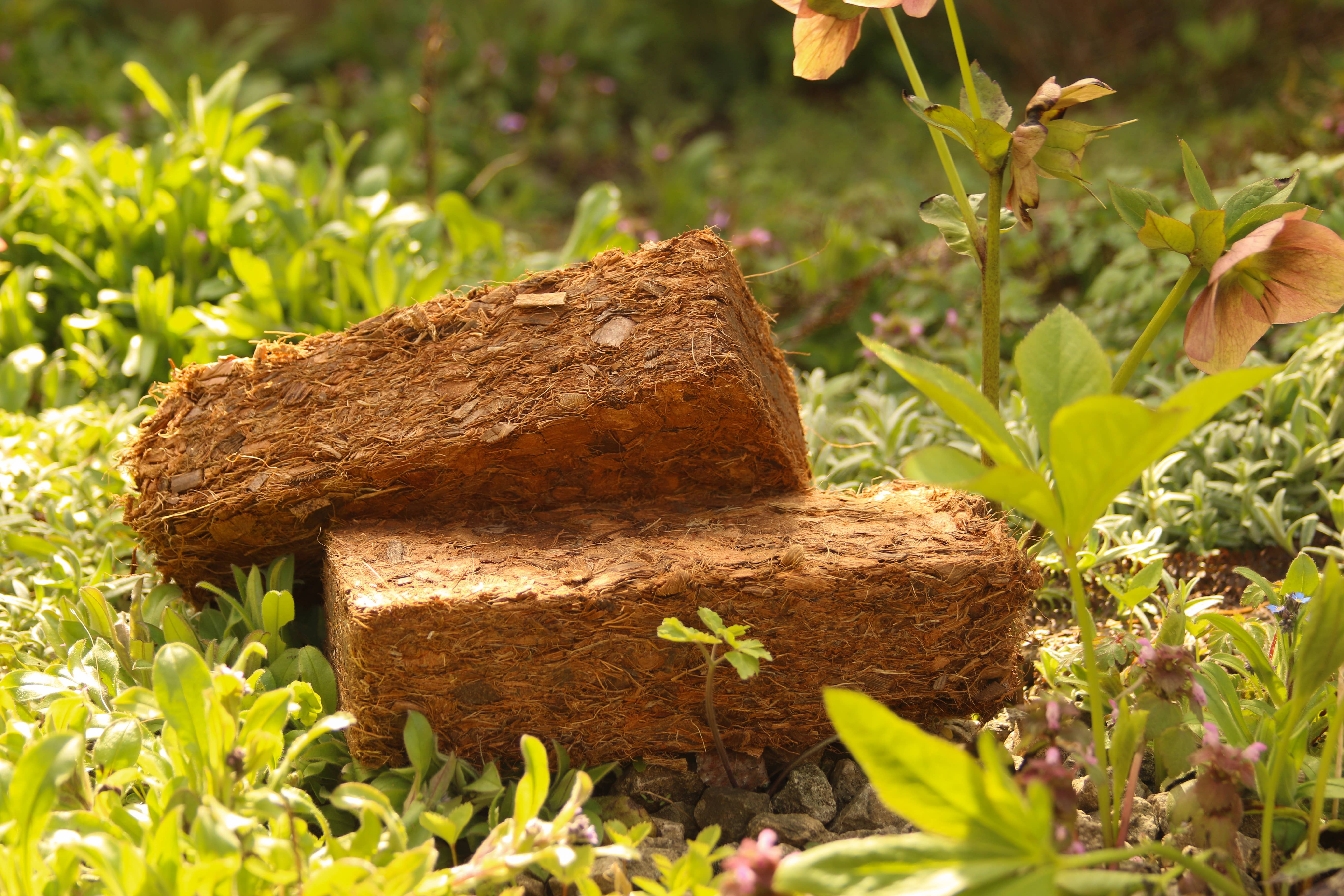 CoirProducts.co.uk of Salike Limited – wholesale Planting/potting soil – 500g Coco Chips brick Coirproducts Cpuk2