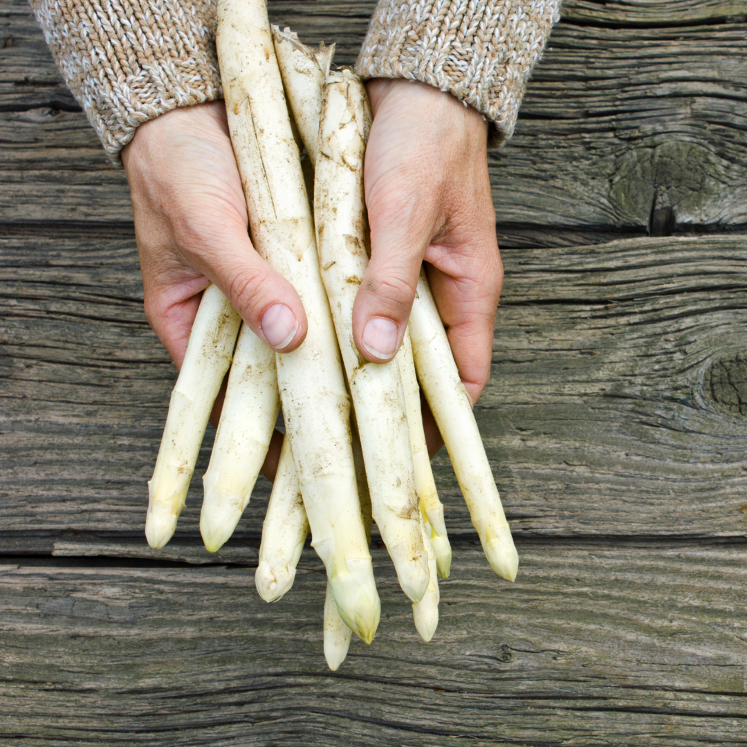 Anne Rozès - Vente Légumes marinés - Asperges blanches de Navarre - [sélection Pays Basque]2