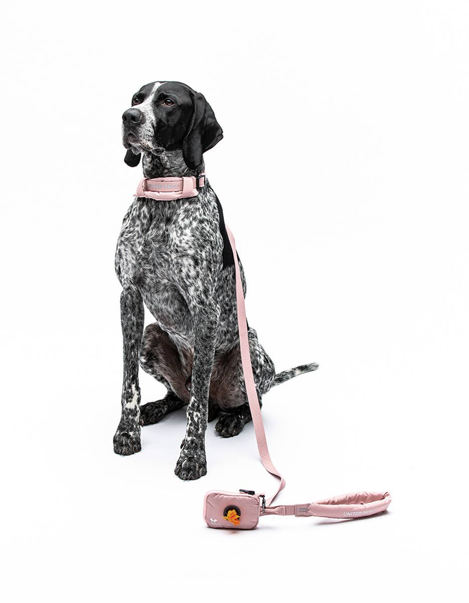 United Pets - Wholesale Hondenriem - Hond - Zachte hondenriem met gewatteerd handvat10