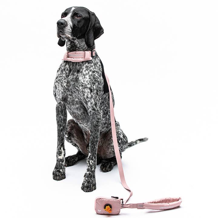 United Pets - Wholesale Pet Leash - Dog - Dog Padded Soft Leash10