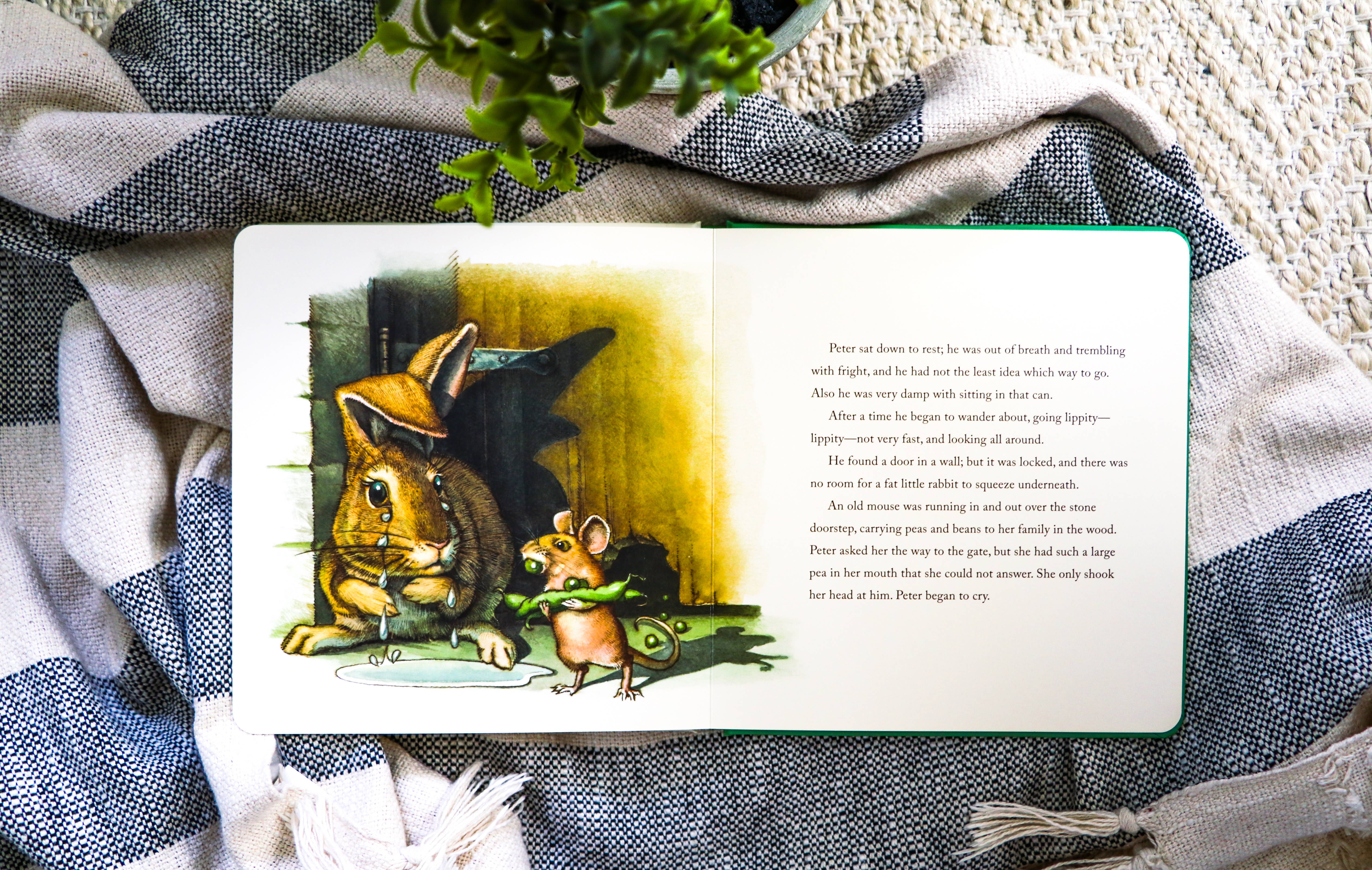 HarperCollins Focus - Wholesale Baby & Toddler Book (0-2) - The Peter Rabbit Oversized Board Book3