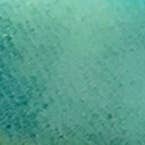 Belart Fair Trade - Wholesale Beaded Bracelet - Tagua Simple Acai Bead Adia Bracelet4