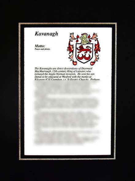 Kavanagh por atacado de Family Histories