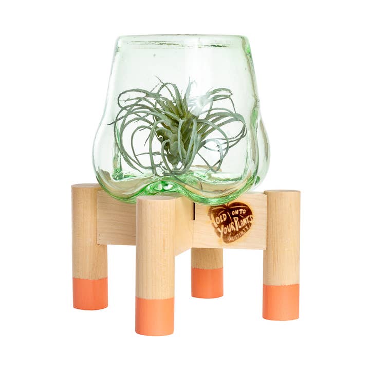 Mini Handblown Glass Terrarium with Modern Stand for wholesale by Hold on to Your Plants